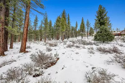 3 Raymond View, Markleeville, CA 96120 - Photo 33