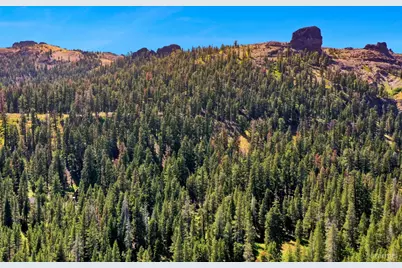 34235 Fremont Road, Kirkwood, CA 95646 - Photo 31