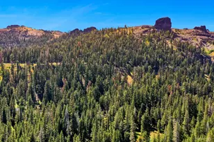 34235 Fremont Rd, Kirkwood, CA 95646 - Photo 31