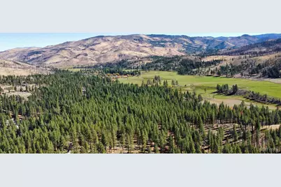 50 Canon View, Markleeville, CA 92106 - Photo 17