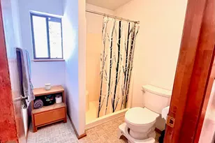 50 Canon View, Markleeville, CA 92106 - Photo 15