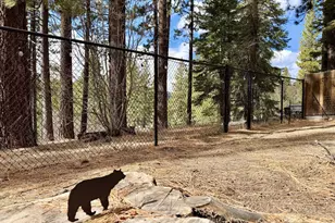 1315 Acoma Ct, South Lake Tahoe, CA 96150 - Photo 27