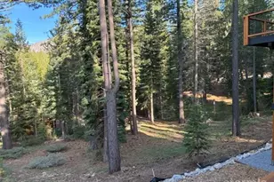 2113 Mandan St, South Lake Tahoe, CA 96150 - Photo 5