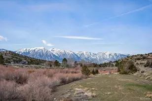 2179 Fish Springs Rd, Gardnerville, NV 89410 - Photo 27