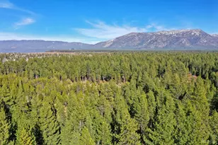 2050 Lukins Way, South Lake Tahoe, CA 96150 - Photo 29