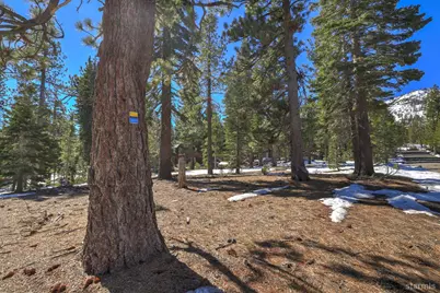 641 Yucatan Street, South Lake Tahoe, CA 96150 - Photo 29