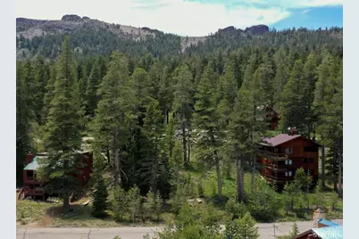 33839 Hawkweed Way, Kirkwood, CA 95646 - Photo 11