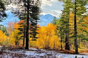 1655 Pebble Beach Dr, South Lake Tahoe, CA 96150 - Photo 27