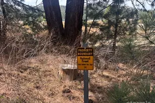 1010 Onnontioga St, South Lake Tahoe, CA 96150 - Photo 23