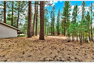 1662 Maiden Hair Ct, South Lake Tahoe, CA 96150 - Photo 3
