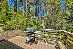 1009 Cathedral Rd, South Lake Tahoe, CA 96150 - Photo 19