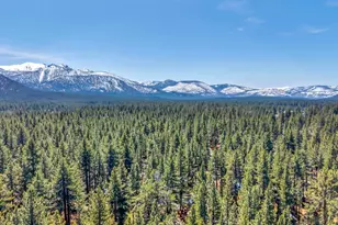 1084 Juniper Ave, South Lake Tahoe, CA 96150 - Photo 39