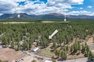2126 Helen Ave Ave, South Lake Tahoe, CA 96150 - Photo 35