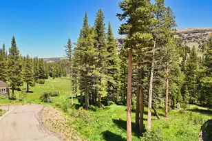 1050 Kirkwood Meadows Dr, Kirkwood, CA 95646 - Photo 11