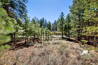 3397 Bruce Drive, South Lake Tahoe, CA 96150 - Photo 13