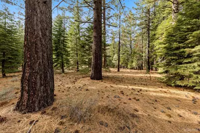 1258 Emerald Bay Road, South Lake Tahoe, CA 96150 - Photo 7