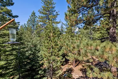 1241 Acoma Circle, South Lake Tahoe, CA 96150 - Photo 11