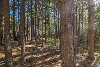 3856 Larch Avenue, South Lake Tahoe, CA 96150 - Photo 11