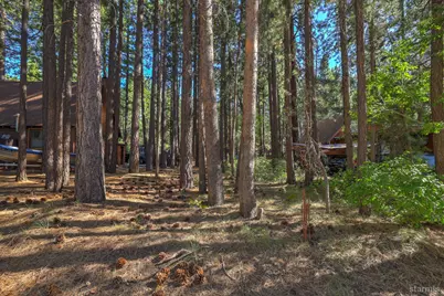 3856 Larch Avenue, South Lake Tahoe, CA 96150 - Photo 13
