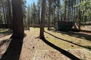 3406 Warr Rd, South Lake Tahoe, CA 96150 - Photo 45