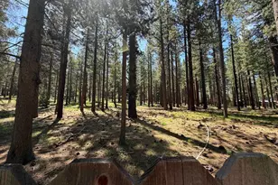 3406 Warr Rd, South Lake Tahoe, CA 96150 - Photo 53