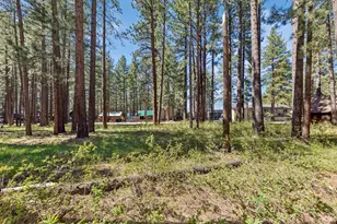 3631 Aspen Ave, South Lake Tahoe, CA 96150 - Photo 31