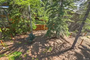 1920 High Meadow Trail, South Lake Tahoe, CA 96150 - Photo 43