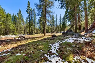 804 US Hwy 50, South Lake Tahoe, CA 96150 - Photo 47