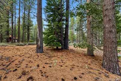 686 Cayuga Street, South Lake Tahoe, CA 96150 - Photo 7