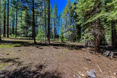 1891 Mandan Street, South Lake Tahoe, CA 96150 - Photo 3