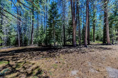 1891 Mandan Street, South Lake Tahoe, CA 96150 - Photo 5