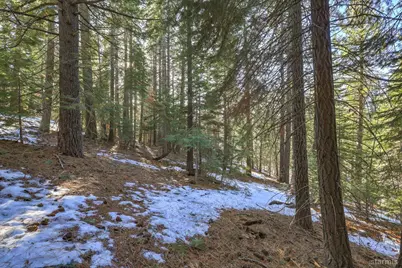 1607 Southern Pines Drive, South Lake Tahoe, CA 96150 - Photo 1