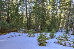 1346 Thunderbird Dr, South Lake Tahoe, CA 96150 - Photo 1