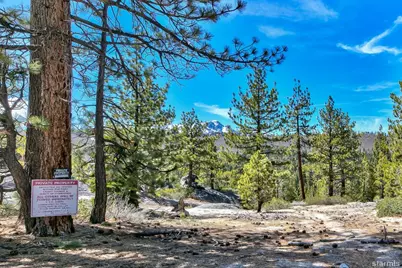 0 Sawmill Road, South Lake Tahoe, CA 96150 - Photo 5