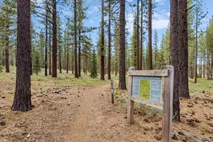 1238 Lone Indian Trail, South Lake Tahoe, CA 96150 - Photo 55