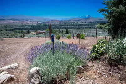 146 Pioneer Trail, Markleeville, CA 96120 - Photo 37