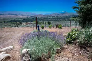 146 Pioneer Trail, Markleeville, CA 96120 - Photo 37