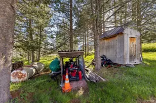 221 Sierra-At-Tahoe Rd, Twin Bridges, CA 95735 - Photo 49