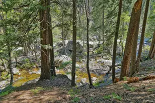 36 Milesstone, Kyburz, CA 95720 - Photo 23
