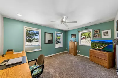 295 Nevada Road, Markleeville, CA 96120 - Photo 29