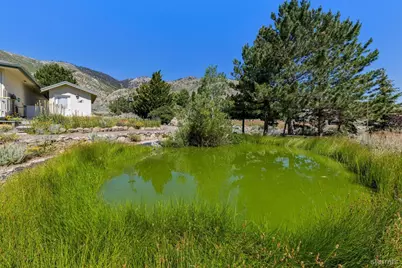 295 Nevada Road, Markleeville, CA 96120 - Photo 9
