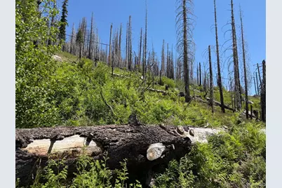 20070 US Hwy 50, Echo Lake, CA 95721 - Photo 3