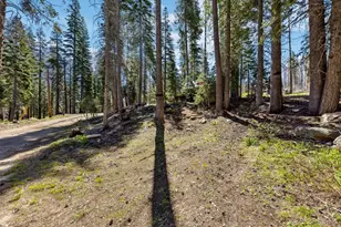 7236 Sayles Canyon Trail, Twin Bridges, CA 95735 - Photo 13