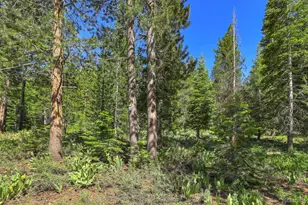 1573 Pebble Beach Dr, South Lake Tahoe, CA 96150 - Photo 29
