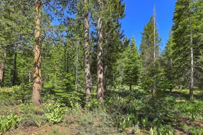 1573 Pebble Beach Drive, South Lake Tahoe, CA 96150 - Photo 29
