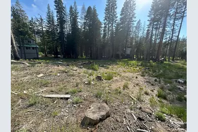 7248 Sierra Pines Road, Twin Bridges, CA 95735 - Photo 3