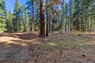 1259 Bonanza Ave, South Lake Tahoe, CA 96150 - Photo 47