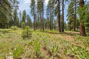 1910 F St, South Lake Tahoe, CA 96150 - Photo 5