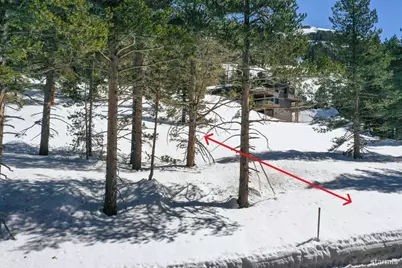 665 Columbine Circle #524, Kirkwood, CA 95646 - Photo 5