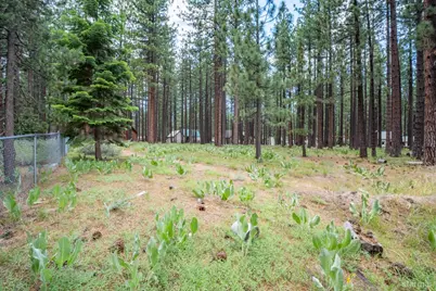 1126 Johnson Boulevard, South Lake Tahoe, CA 96150 - Photo 37